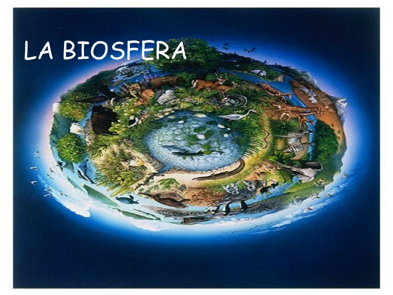 Exemplos de Biosfera e o Uso de Adequação Baseada nos Modelos
