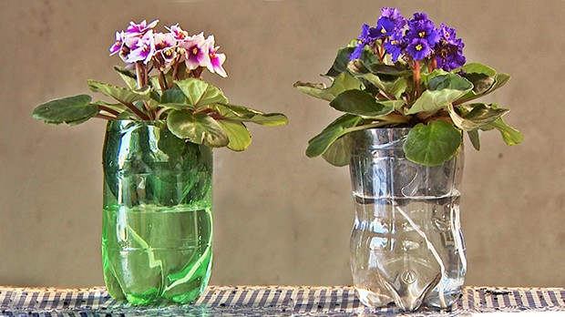 Como Plantar Flores em Garrafa PET