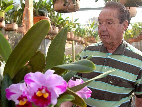 Terapia das Orquídeas: O Poder Terapêutico Dessa Flor