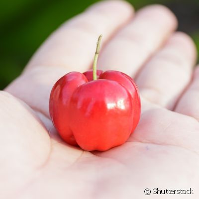 Curiosidades da Acerola e Fatos Interessantes