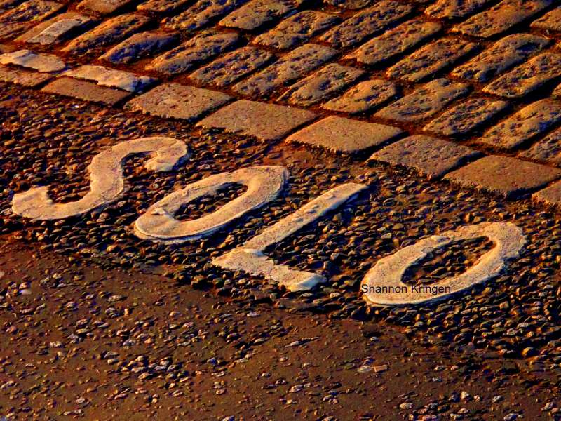 Características Físicas e Químicas Do Solo