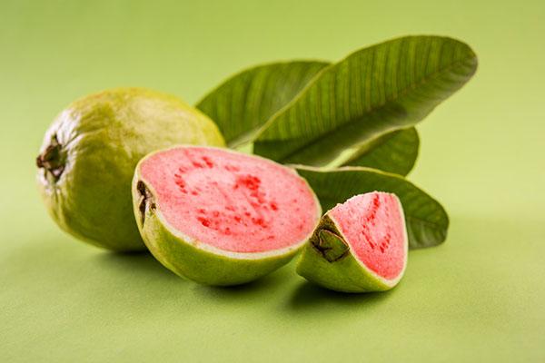 Benefícios da Goiaba para Emagrecer e Fazer Dieta