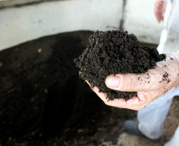 Gongolo: Compostagem – Alternativa Eficaz para Compostos Orgânicos