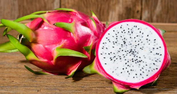 Como Induzir O Crescimento Da Pitaya?