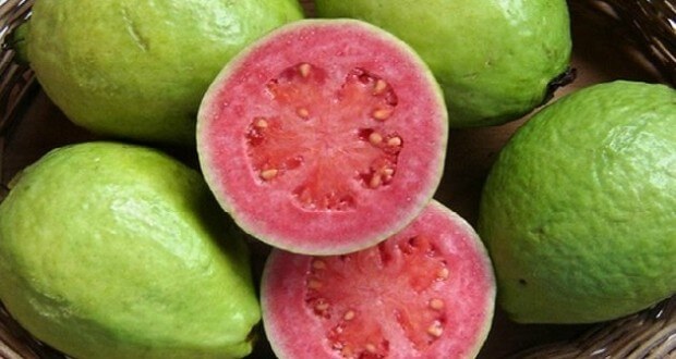 Goiaba Vermelha: Nome Científico, Características e Tabela Nutricional