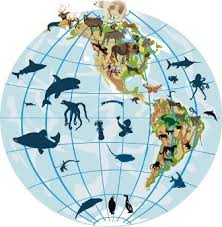 O Que Significa Macroecologia?