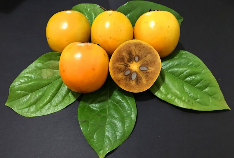 Gabiroba Beneficios e Maleficios da Fruta