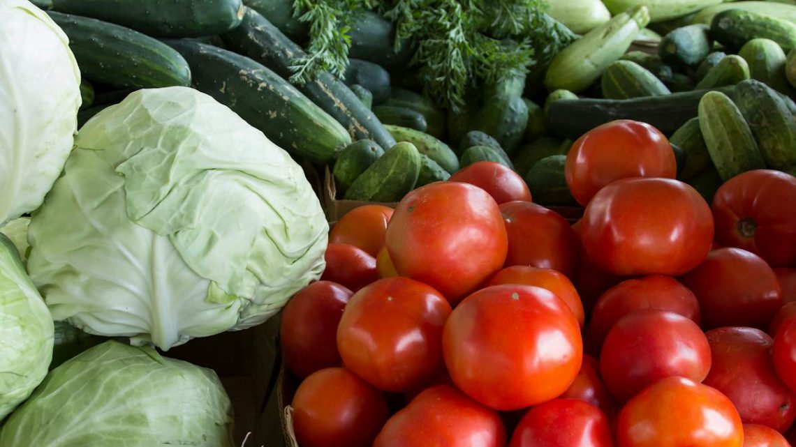 Aquaponia: o sistema sustentável que une peixes e plantas para produzir alimentos com até 90% menos água