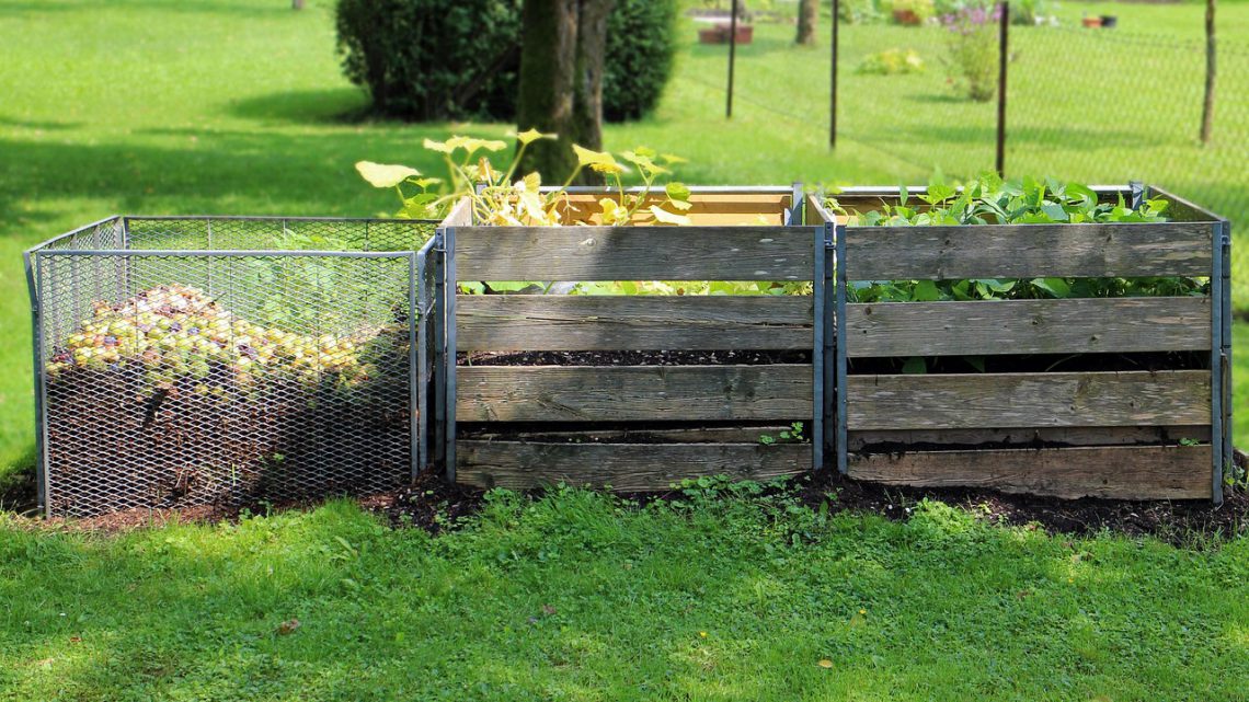 Compostagem doméstica: guia prático para transformar lixo orgânico em adubo